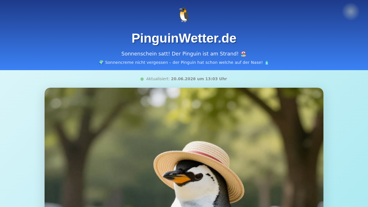 PinguinWetter.de Screenshot